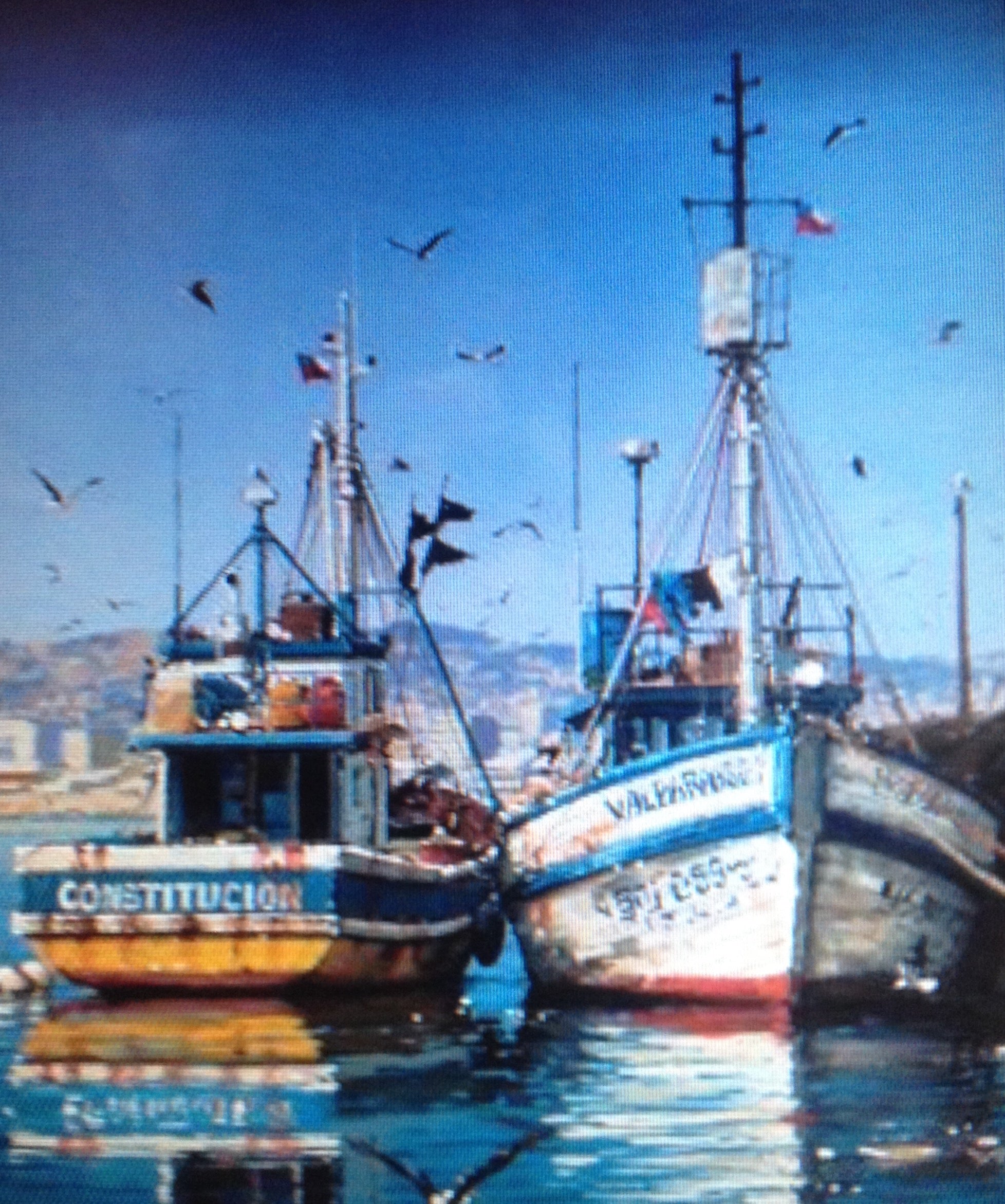 Barcazas - Ernesto Romero